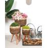 Banana tree planters
