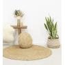 Seagrass planters