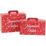 Valise en carton pliable