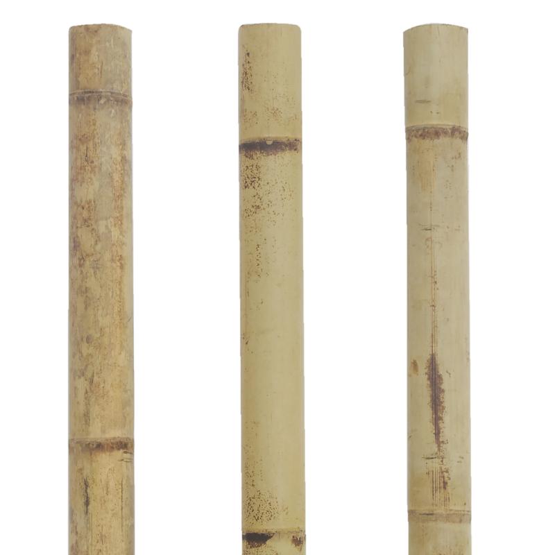 Canne à Champignons En Osier Aubry Gaspard - Hauteur 100cm, Panier Ø28cm | Authentique, Style Campagne