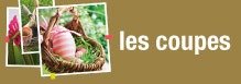 Les Coupes